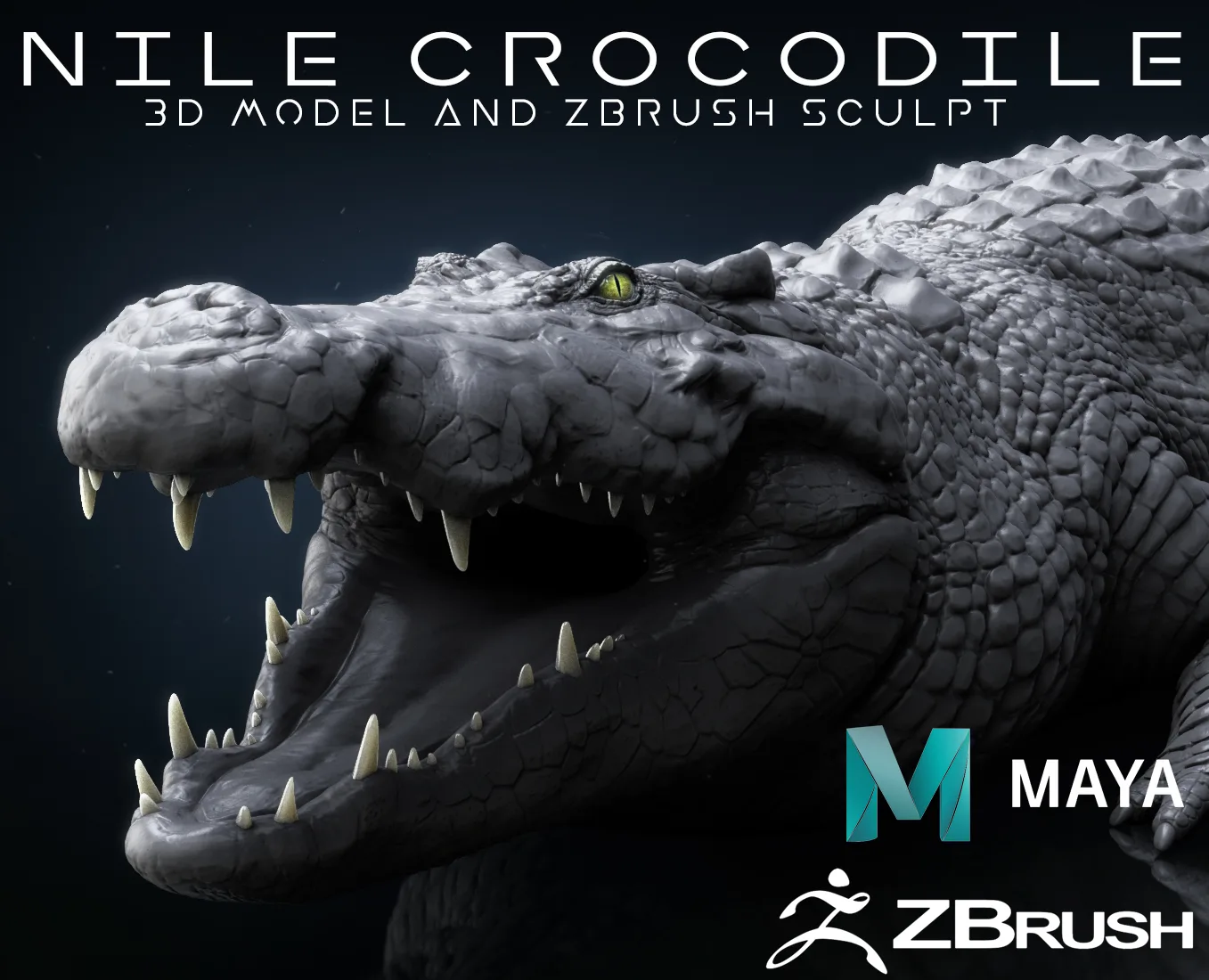 Production Quality Nile Crocodile 3D Model & ZBrush Sculpt