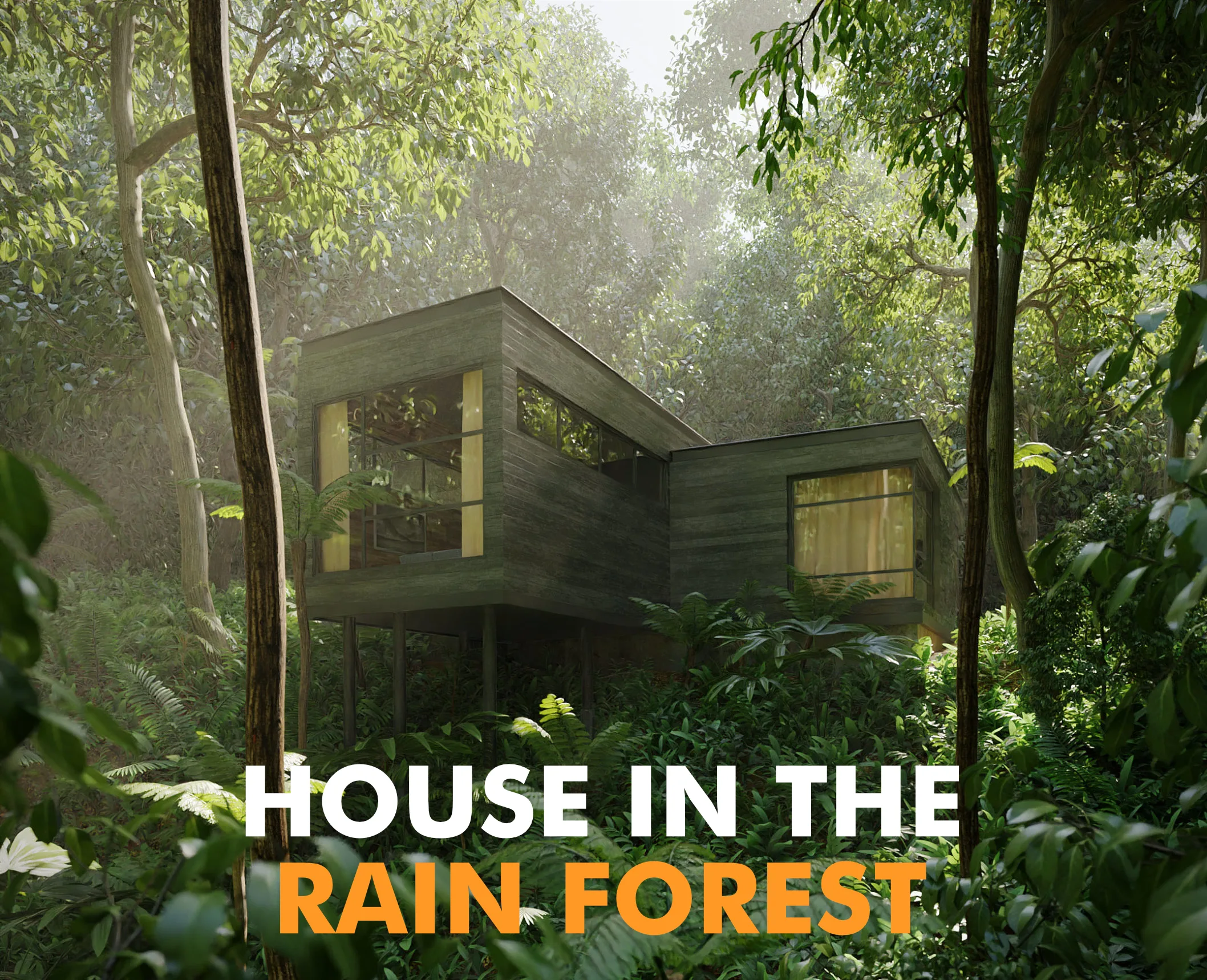 House in the Rainforest