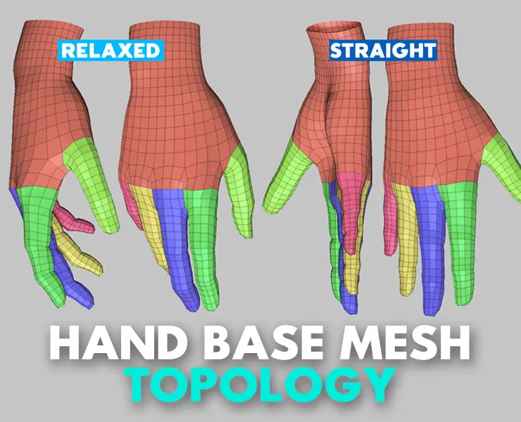 Hand Basemesh Topology