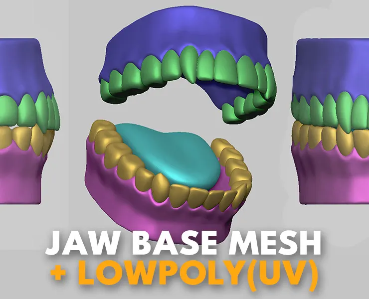 Jaw Basemesh + Lowpoly with UV Map