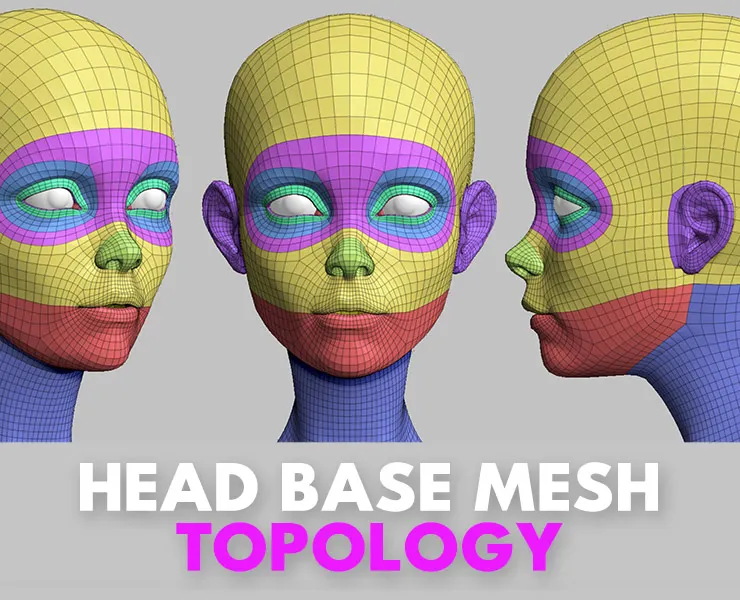 Head Basemesh Topology