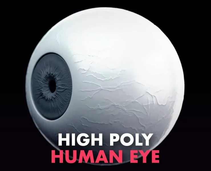 High Poly Eye