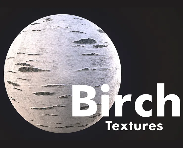 Birch Bark Textures