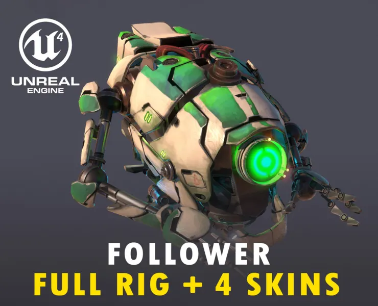 Follower - Full Rig + 4 Skins