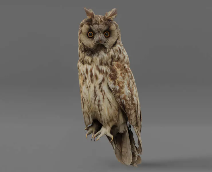 Photorealistic Long-Eared Owl