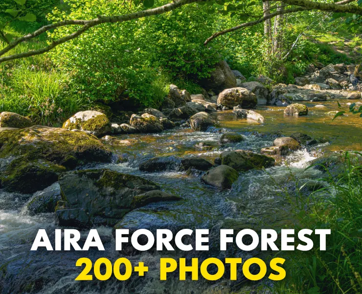 Aira Force Forest Photopack - 200+ Images