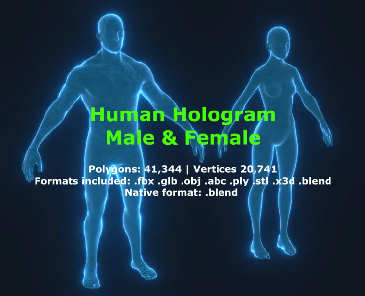Human Hologram Male and Female 3D Model