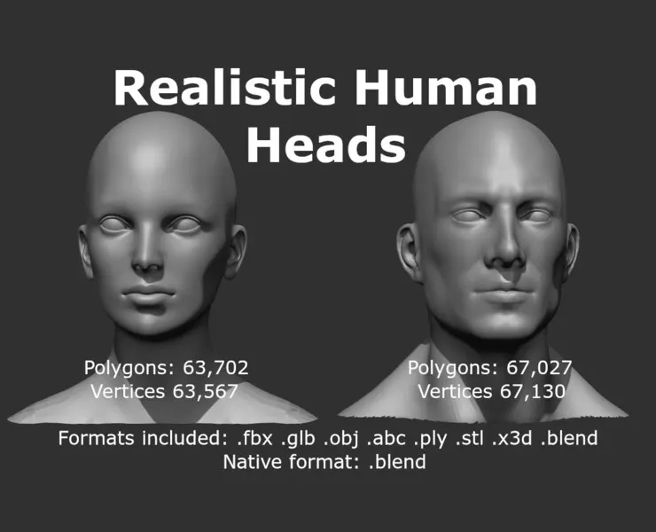 Male and Female Head Realistic Base Mesh 3d Model