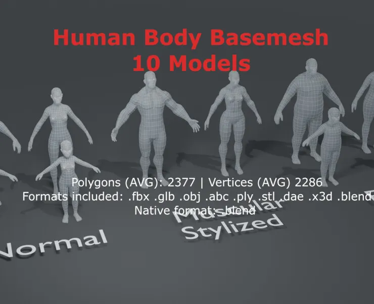 Human Body Base Mesh 10 3D Models Pack