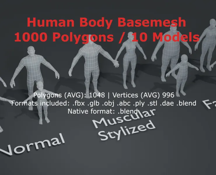 Human Body Base Mesh 10 3D Models Pack 1000 Polygons