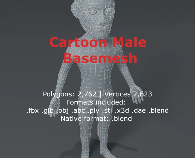 Male Body Cartoon Base Mesh 3D Model