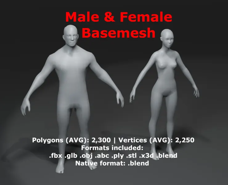 Male and Female Body Base Mesh 3D Model