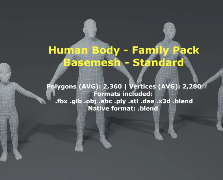 Human Body Base Mesh 3D Model Family Pack