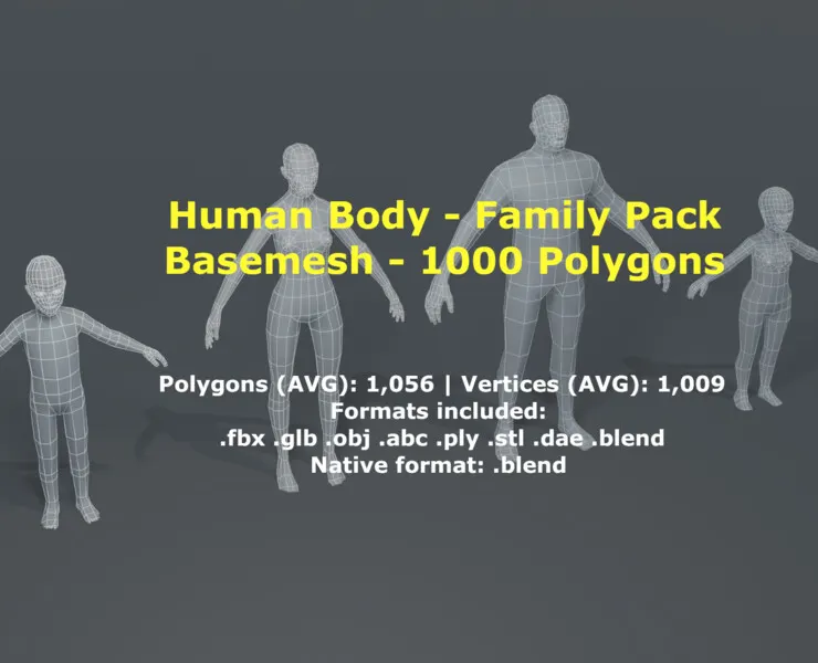 Human Body Base Mesh 3D Model Family Pack 1000 Polygons