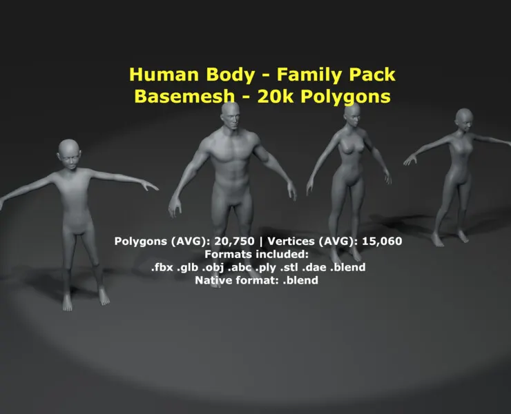 Human Body Base Mesh 3D Model Family Pack 20k Polygons