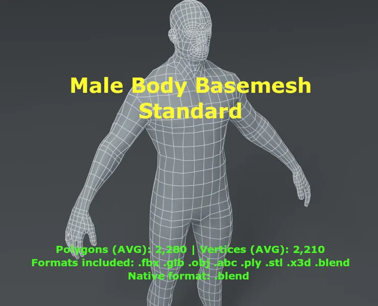 Male Body Base Mesh 3D Model