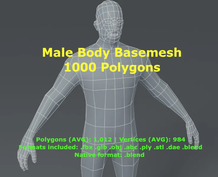 Male Body Base Mesh 3D Model 1000 Polygons