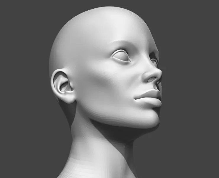 Female Head Realistic Base Mesh 2 3D Model