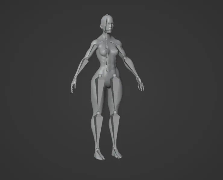 Strong Muscular Female Body Base Mesh Animated and Rigged 3D Model 20k Polygons