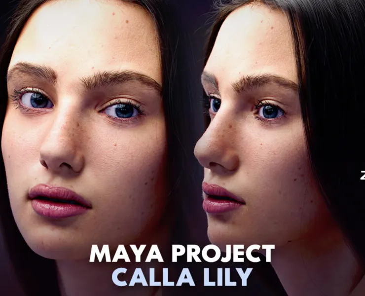 Calla Lily Maya Project