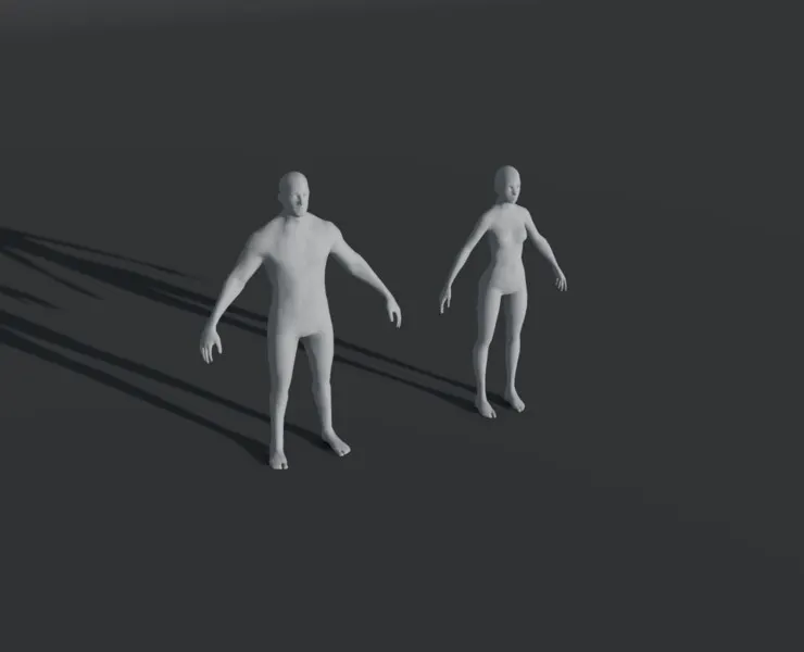 Male and Female Body Base Mesh 28 Animations 3D Model