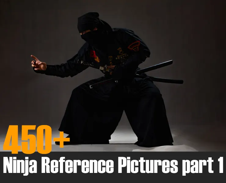 450+ Ninja Reference Pictures Part 1