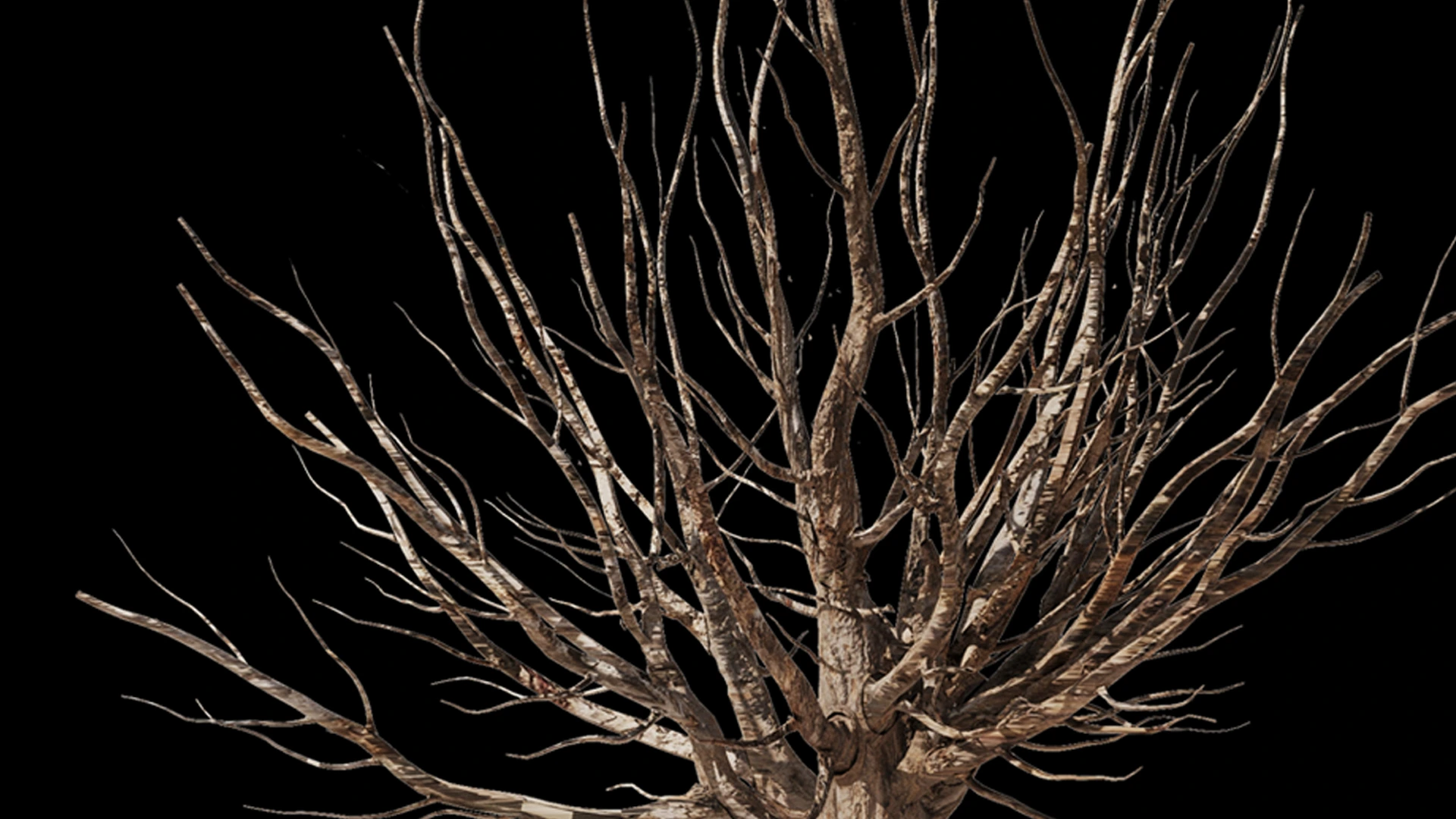 Olive Tree Set4 (2 diffrent trees+13 - FlippedNormals