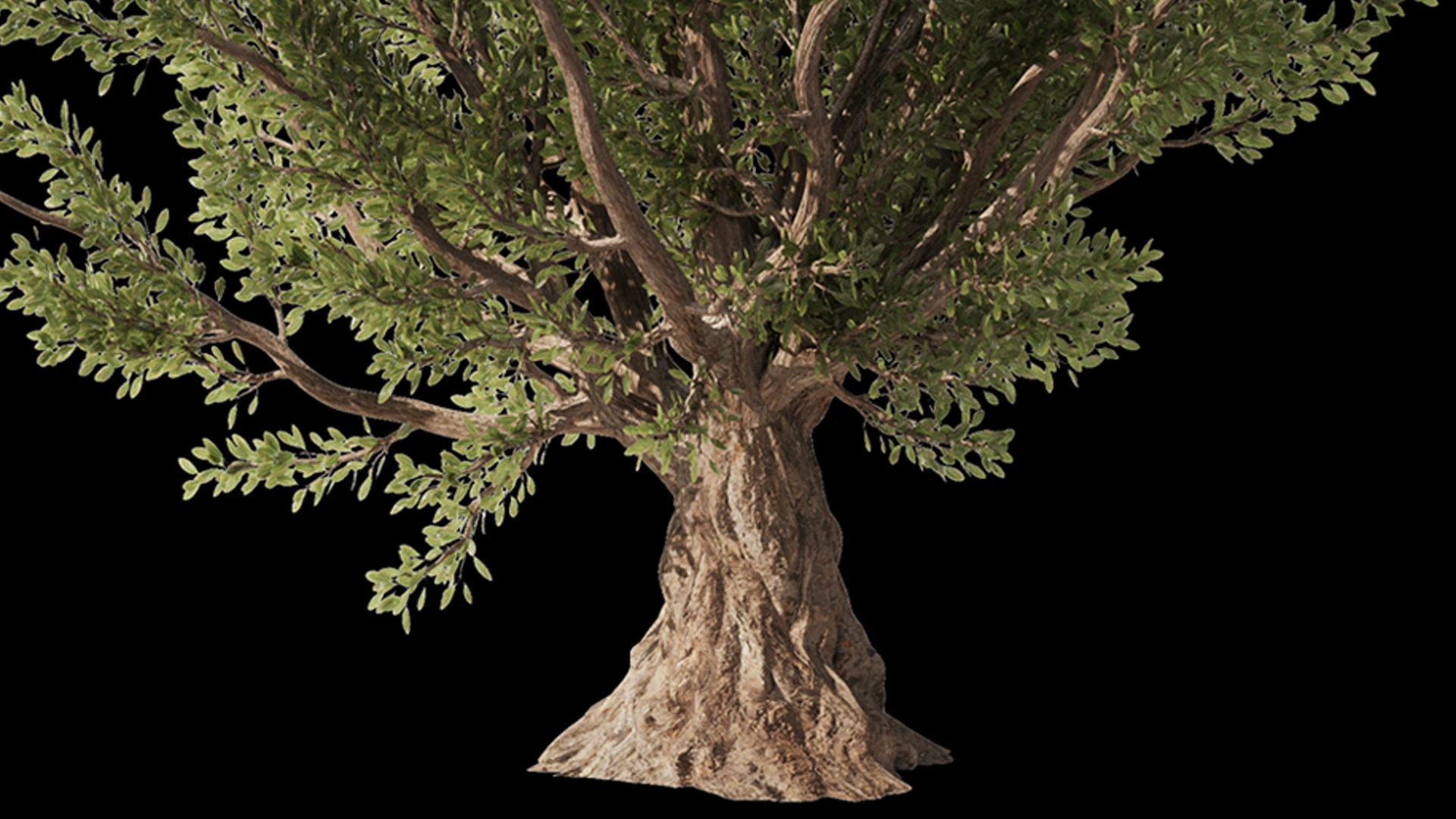 Olive Tree Set4 (2 diffrent trees+13 - FlippedNormals