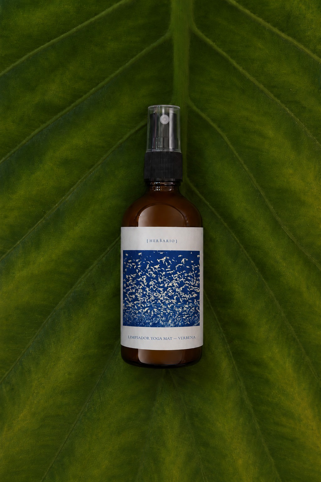 Limpiador Yoga Mat Verbena Herbario sobre una hoja verde