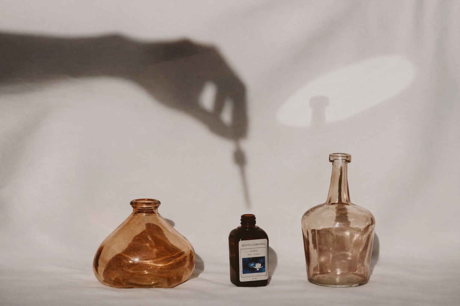 Herbario foto principal