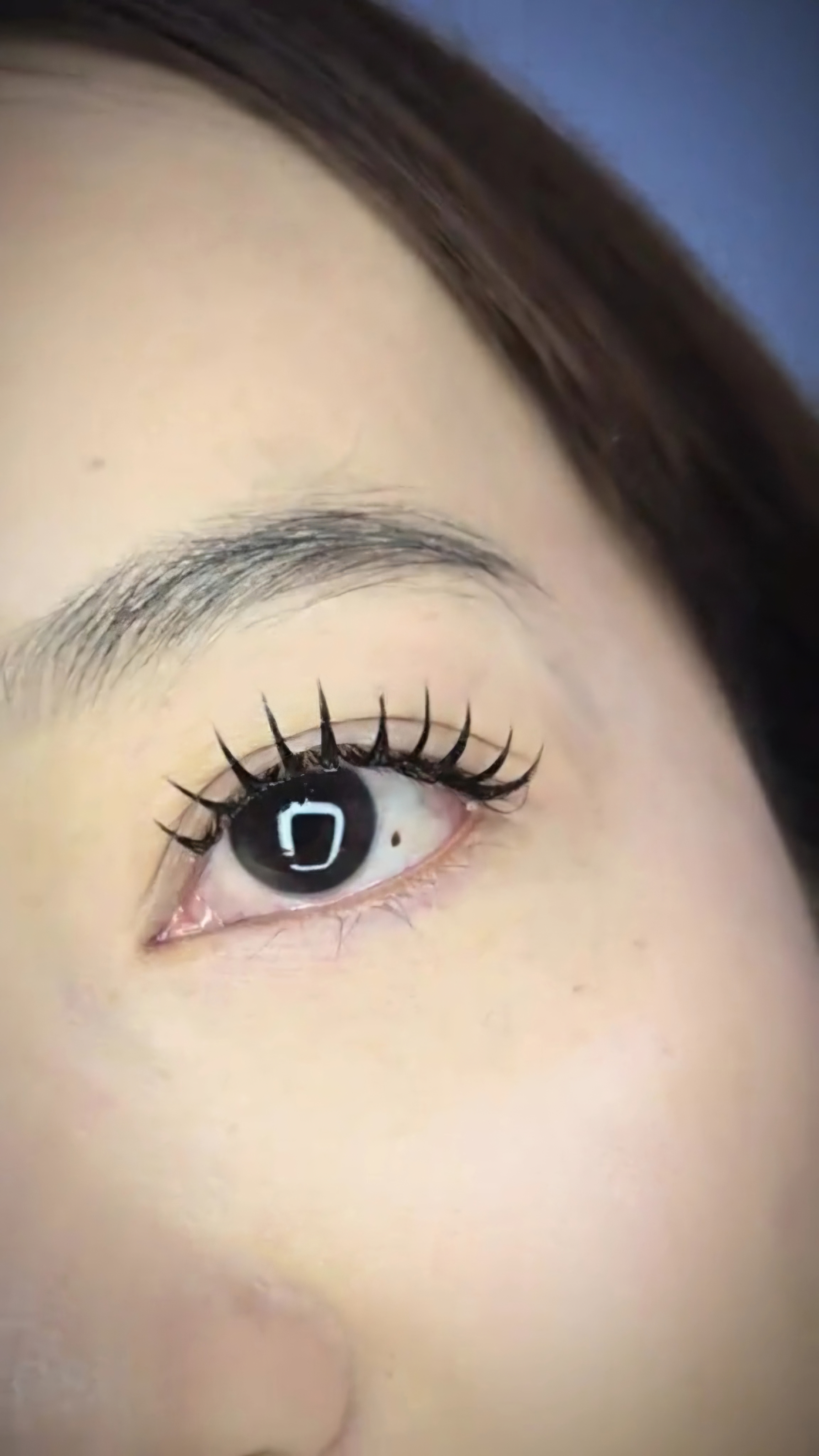 FUKU 599.- - ต่อขนตาทรงFUKU 599.- Finish Lash ดอนเมือง