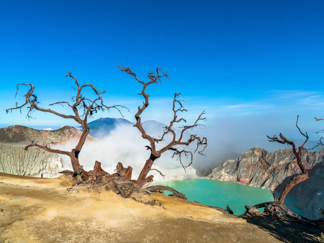 Banyuwangi