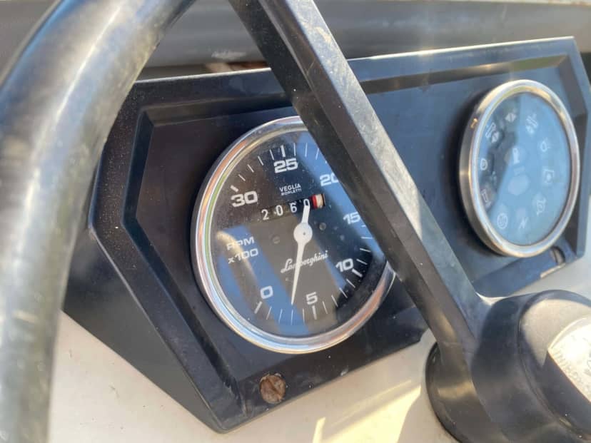 Trattore agricolo Lamborghini — foto 4 di 7