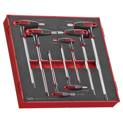 Teng TEDHEX7 7pc T-Handle Hex Set 2.5-8mm - TED-Tray
