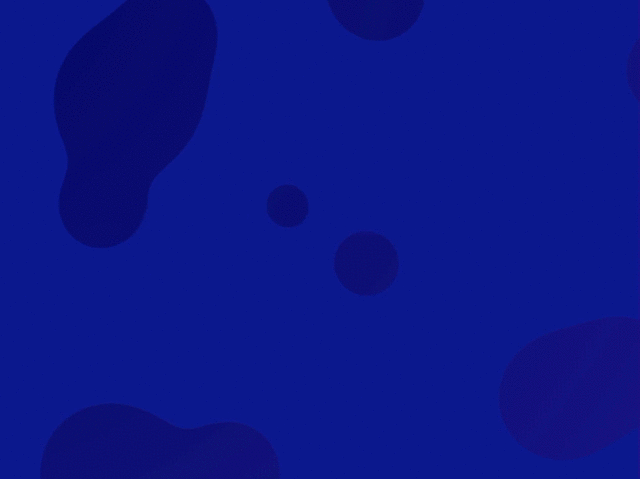 project-lead