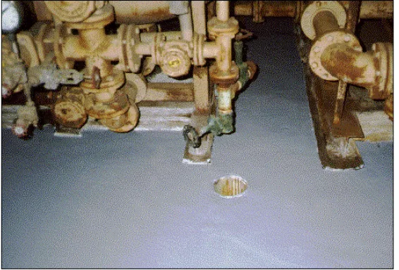 Topcoat of EE-20