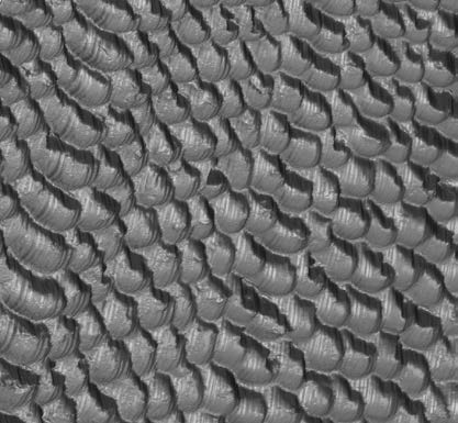 Grayscale 3D view of a surface with raised particles