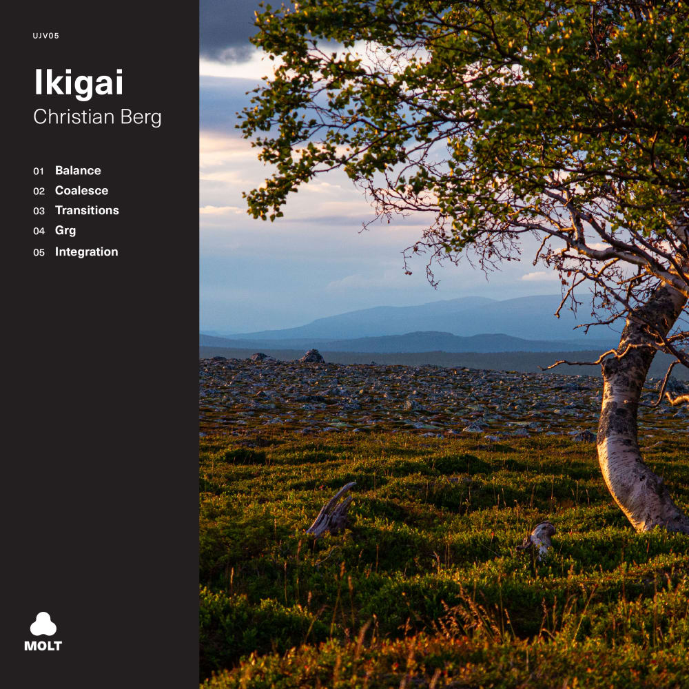 Ikigai album cover