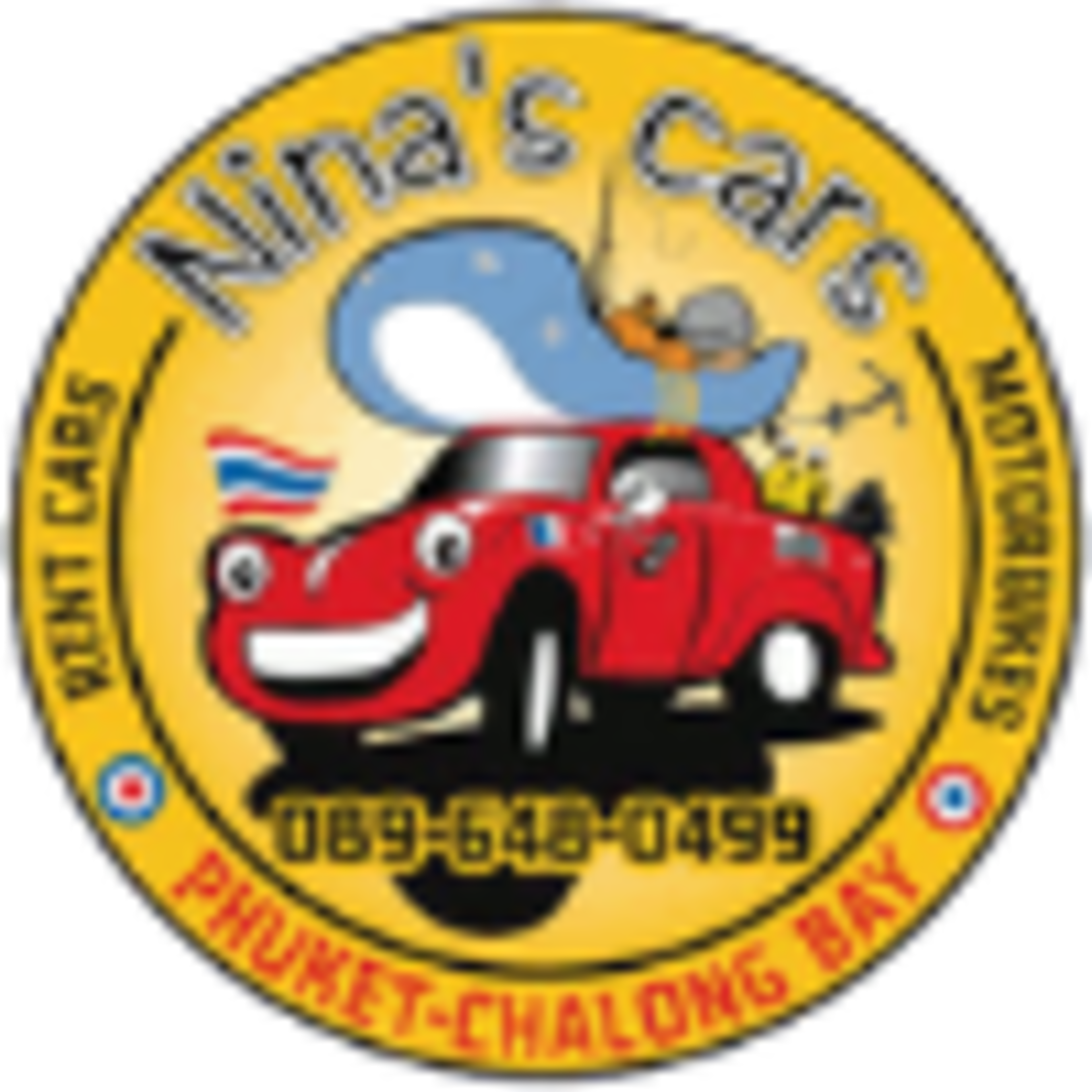 Nina's Cars