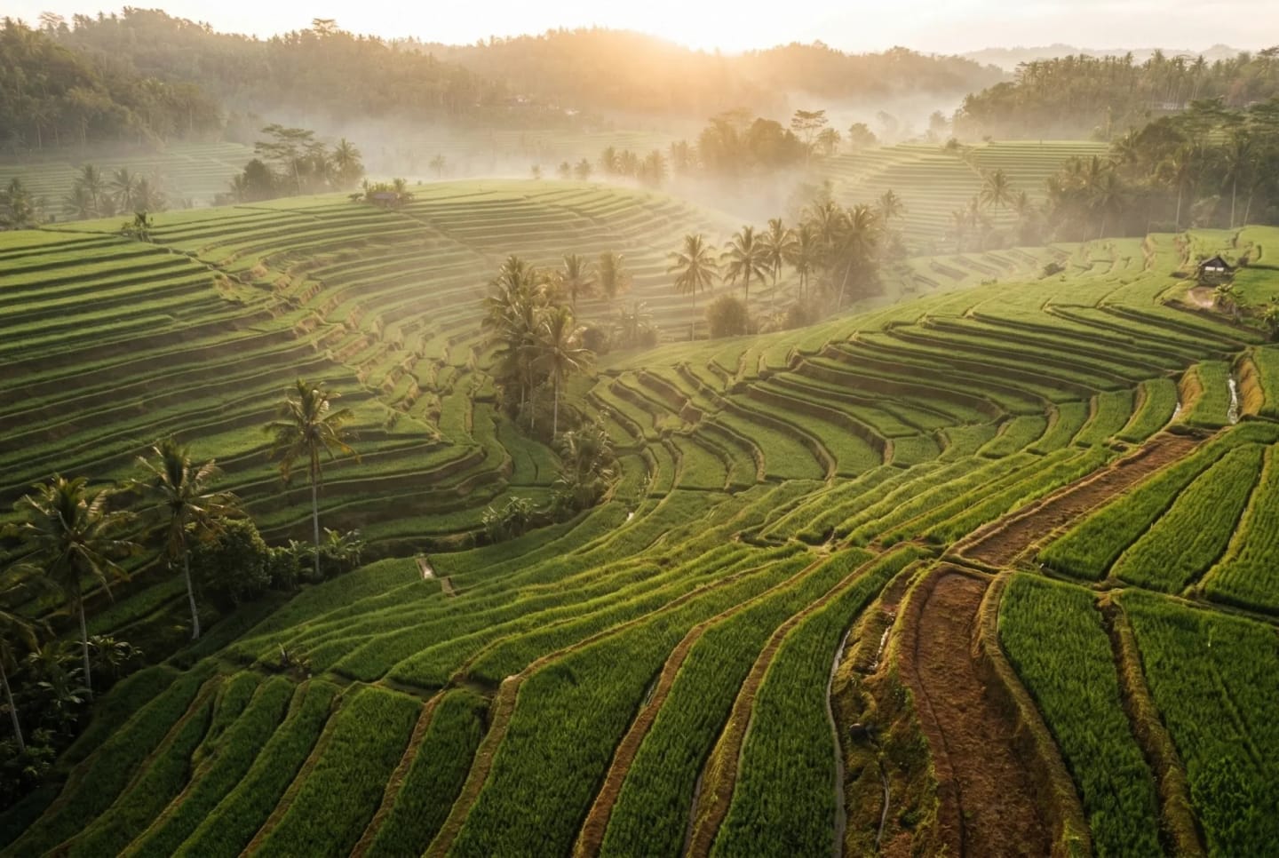 Yoga practice in Indonesia