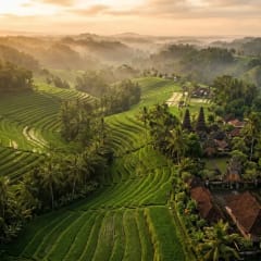 Best yoga studios in Bali