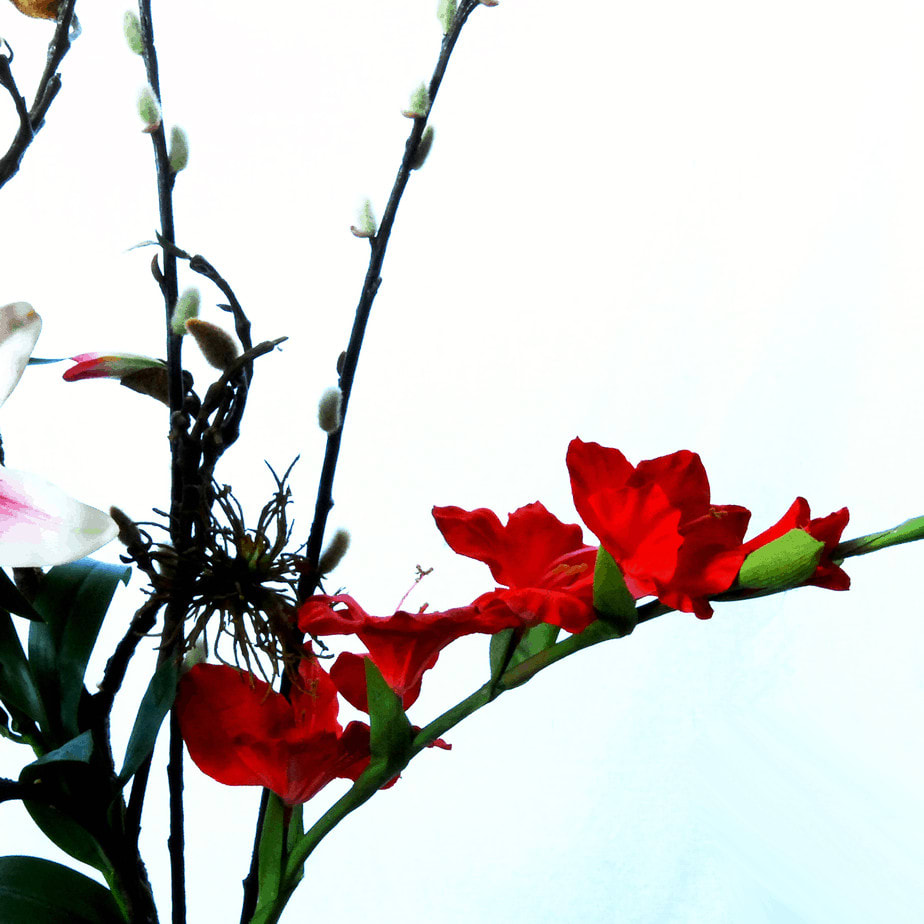 FlowerDutchess vroeg lente 5 5