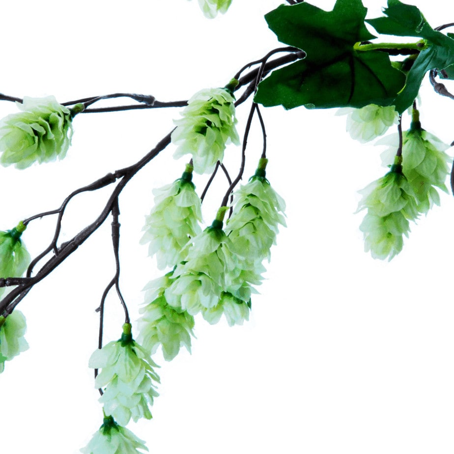 FlowerDutchess hop detail 3