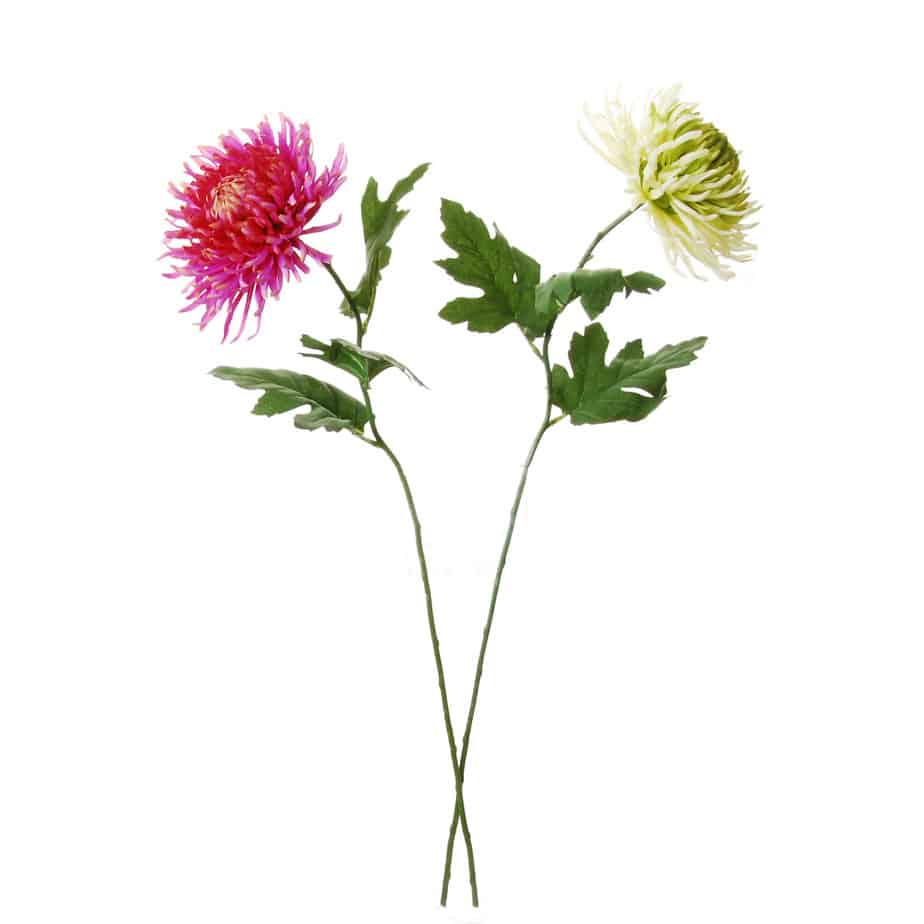 Chrysant 65cm groen fuchsia