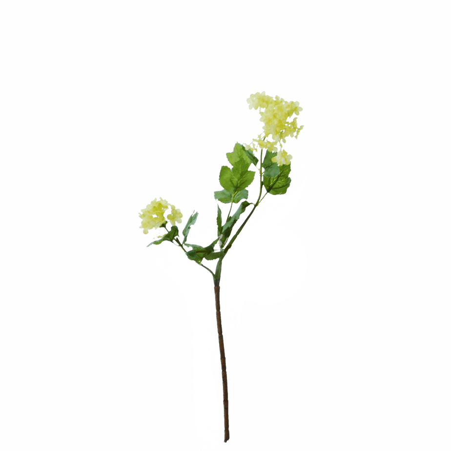 FlowerDutchess Sneeuwbal 50cm groen creme 2