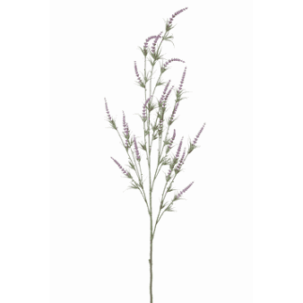 FlowerDutchess Lavendel 129cm lila