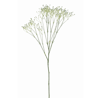 FlowerDutchess Gypsophilla 85cm wit