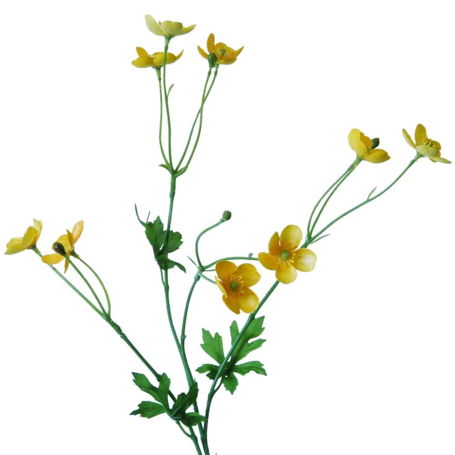 Flowerdutchess Boterbloem 64cm geel 4