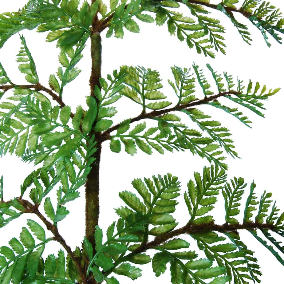 FlowerDutchess Varenblad 150cm groen 2