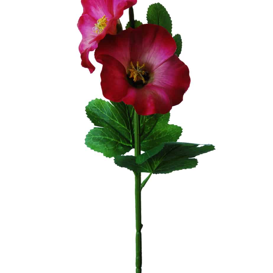 Flowerdutchess stokroos 100cm cerise 9